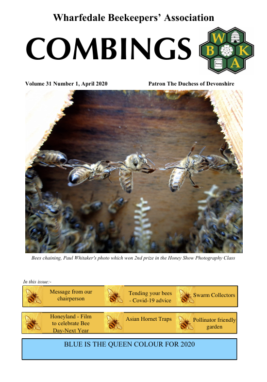 Cover image, Combings Spring 2020