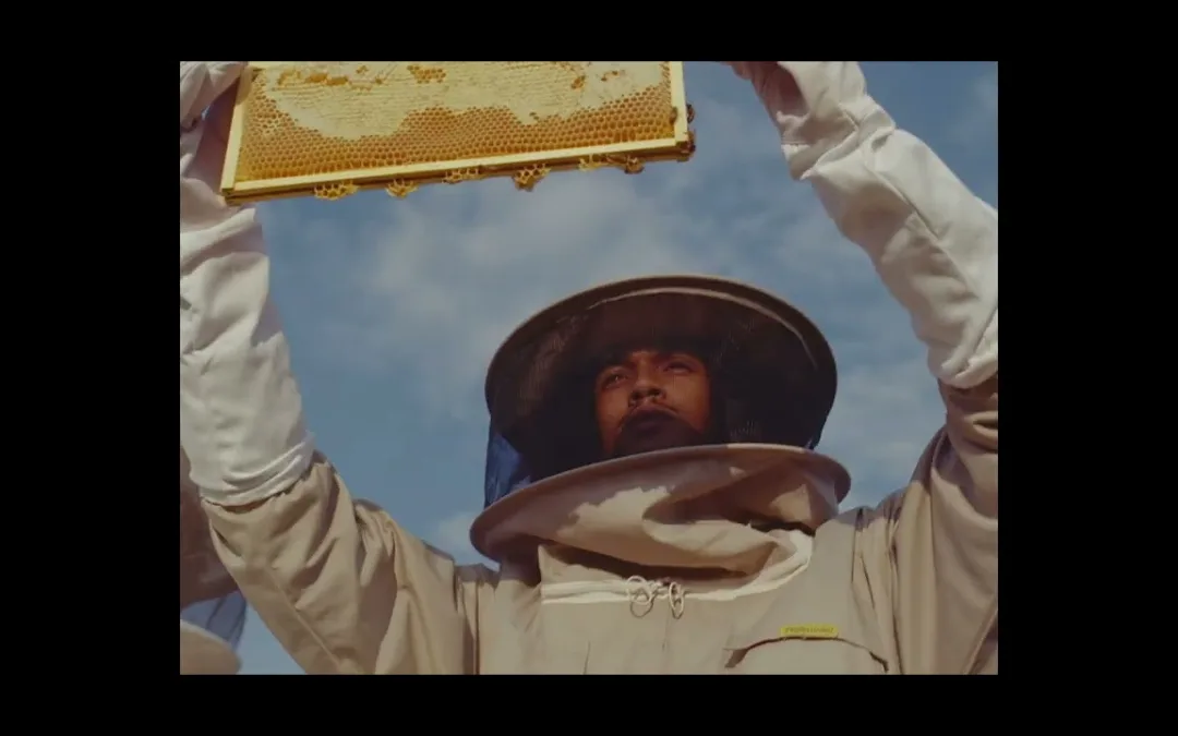 WBKA in New BT Advert